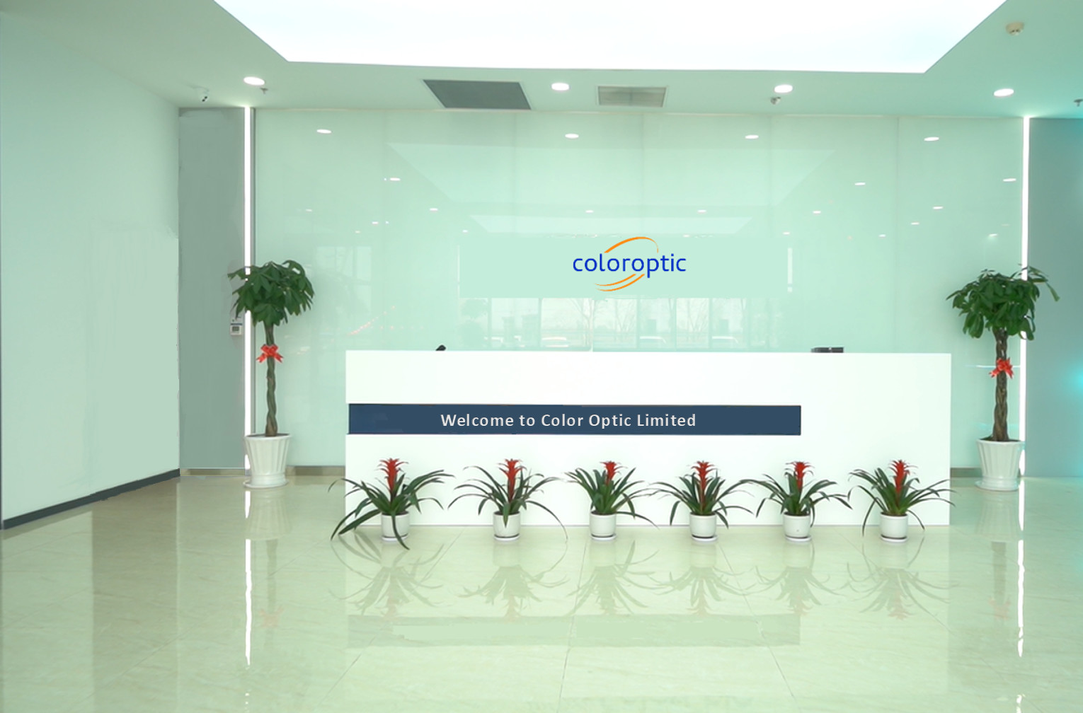 China Color Optic Limited Perfil da companhia