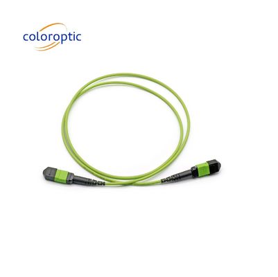 Conector MTP de modo único MTP Patch Cord MTP G652D / G657A1 / G657A2 Fibra