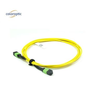 OM3 MPO Patch Cord 12 Core Aqua Fiber Optic Connector para rede eficiente