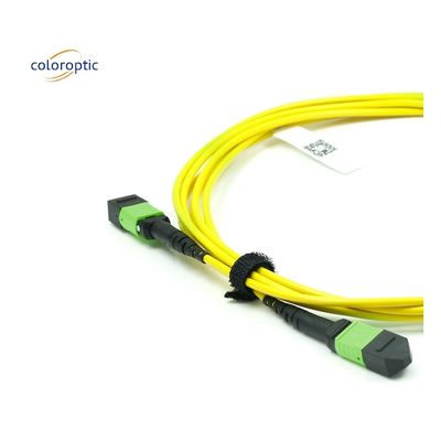 Cabos ópticos MPO de modo único de fibra OM3 com revestimento de PVC
