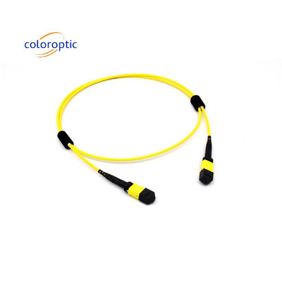 Mtp(Mpo) Cable de remendos de modo único 12 Fibra Tipo B Fêmea para Conector Fêmea Pc Polido