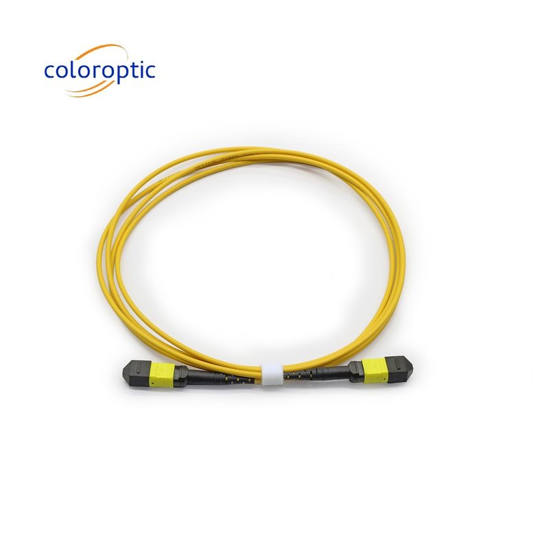 MTP APC Fêmea para Fêmea Cabo Ótico 10/40G SM 3M PVC / LSZH cabo tronco