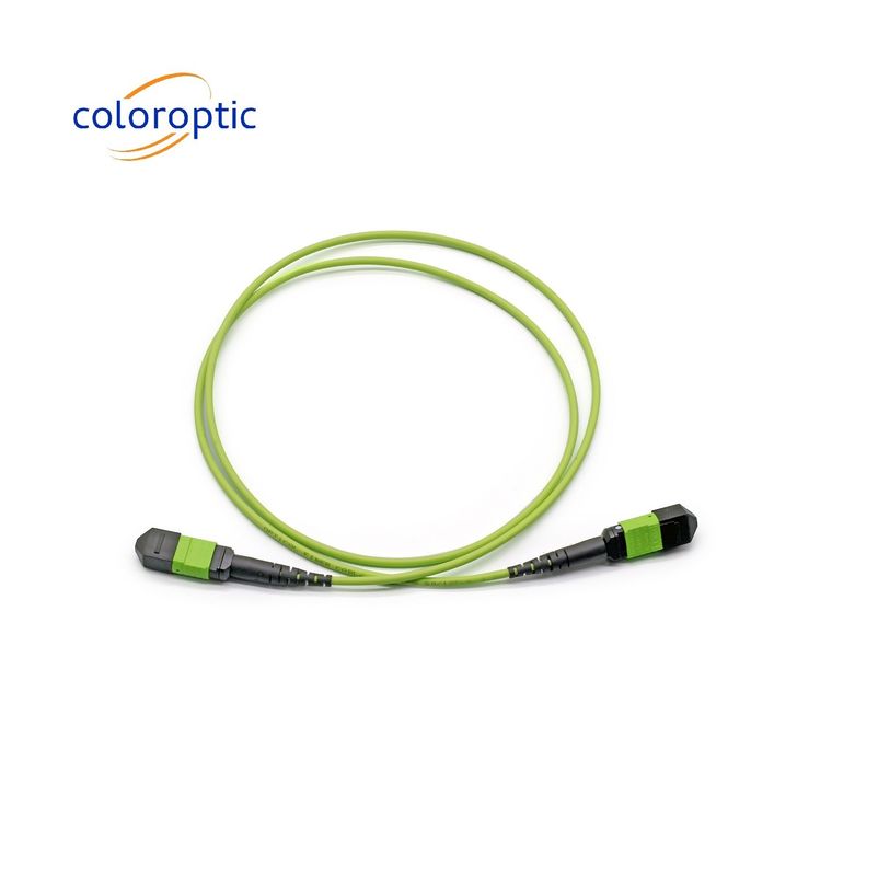 Conector MTP de modo único MTP Patch Cord MTP G652D / G657A1 / G657A2 Fibra
