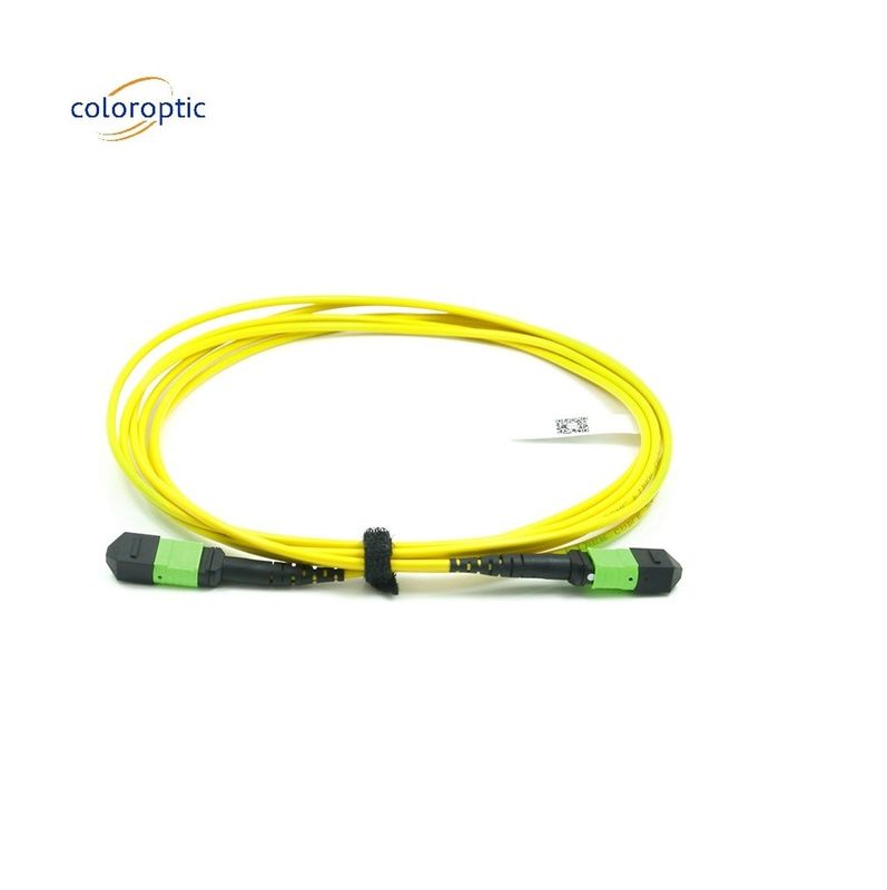 Cordão de remendo de modo único óptico passivo MPO-12 / APC-A-MPO12 / APC