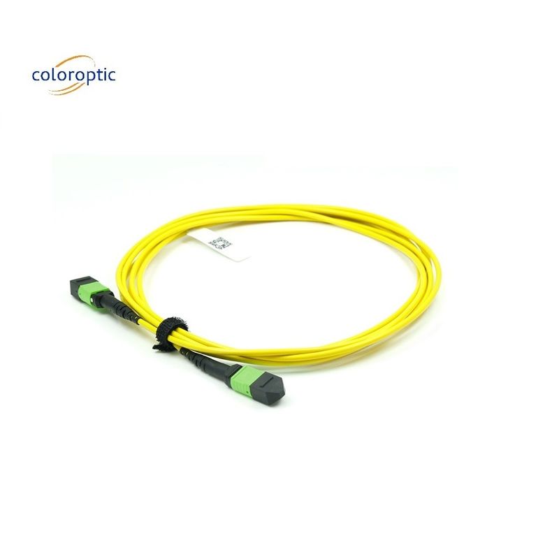 OM3 MPO Patch Cord 12 Core Aqua Fiber Optic Connector para rede eficiente