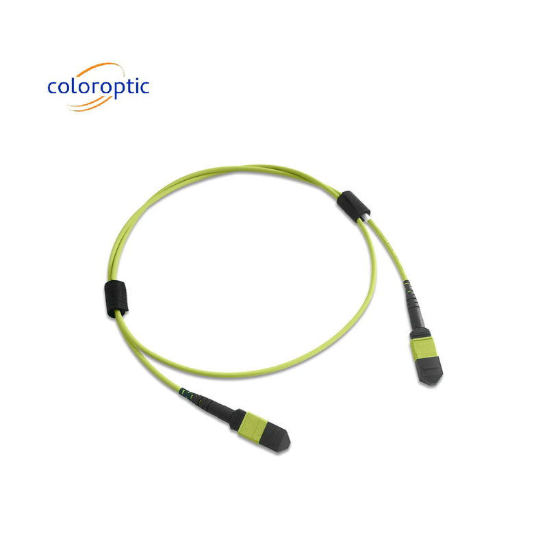 Multifibra MPO Patch Cord PVC Jacket 12 Core OM5 Female To Female Connector PC Polishing