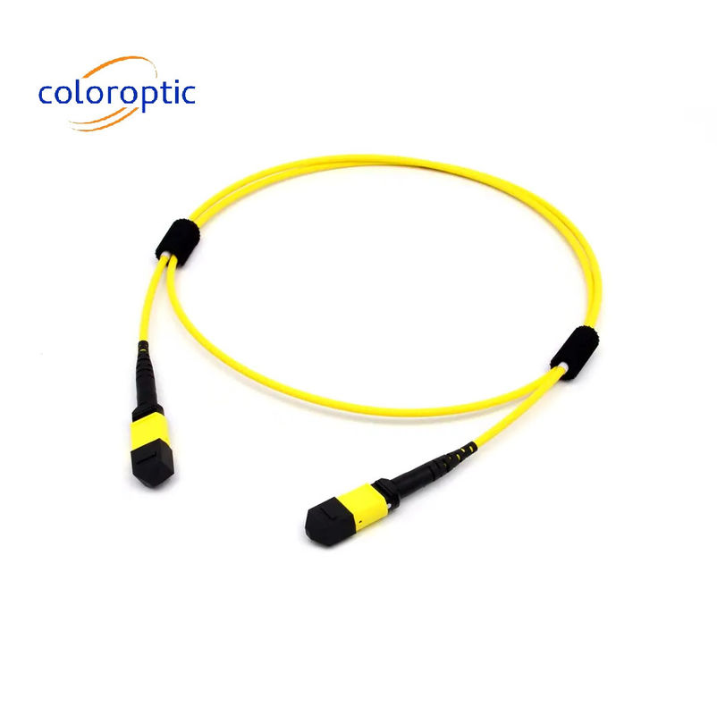 Fibra multi-modo MTP MPO 16 FIBRA OM5 (50/125) PATCH CABLE para SR8 400G QSFP-DD e OSFP 400G SR8 PAM4