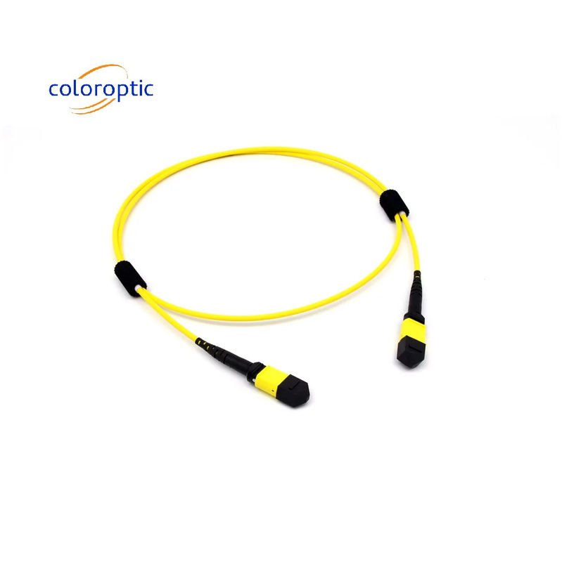 Mtp(Mpo) Cable de remendos de modo único 12 Fibra Tipo B Fêmea para Conector Fêmea Pc Polido